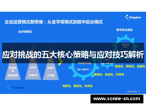 应对挑战的五大核心策略与应对技巧解析