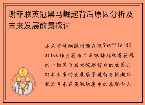 谢菲联英冠黑马崛起背后原因分析及未来发展前景探讨
